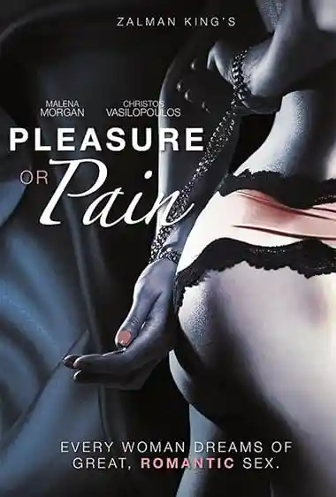 [18+] Pleasure or Pain (2013) Dual Audio [Hindi-English] BluRay 480p | 720p | 1080p